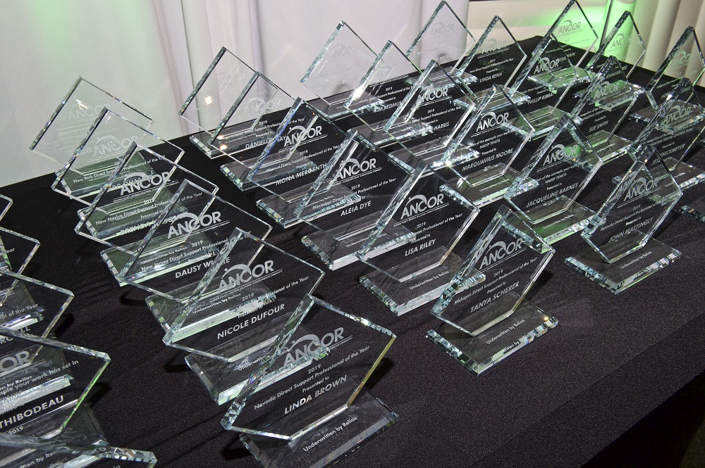 A photo of glass DSP of the Year Awards trophies prior to the awards ceremony