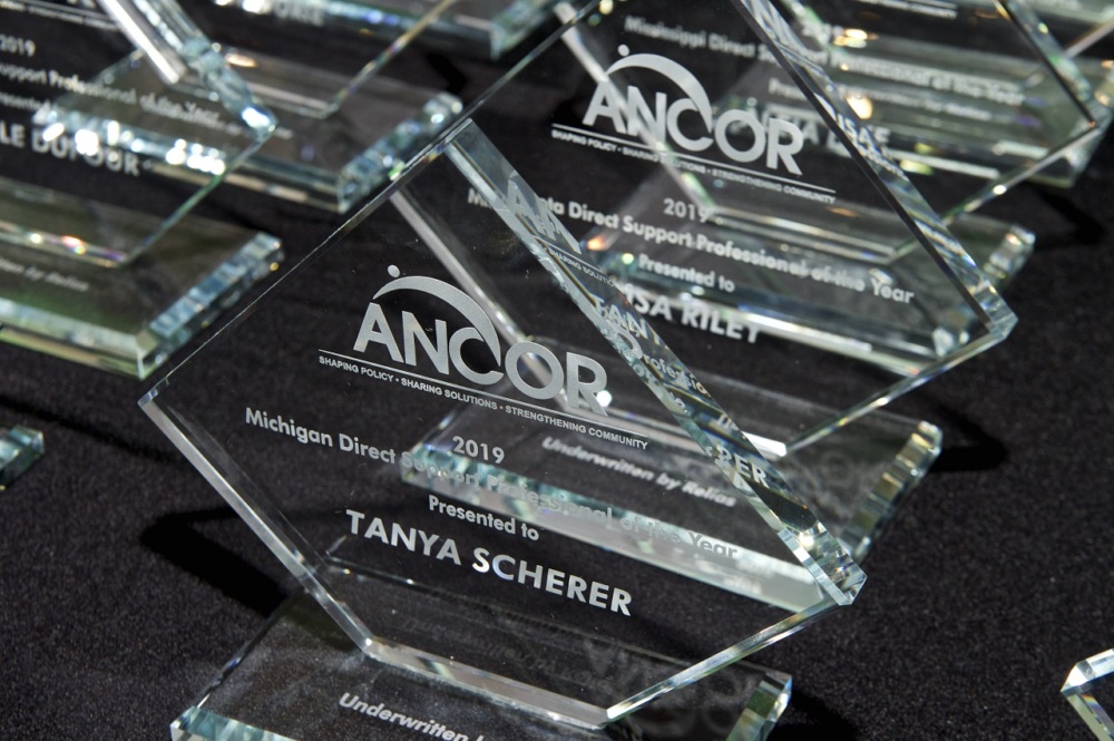 Dsp recognition ancor