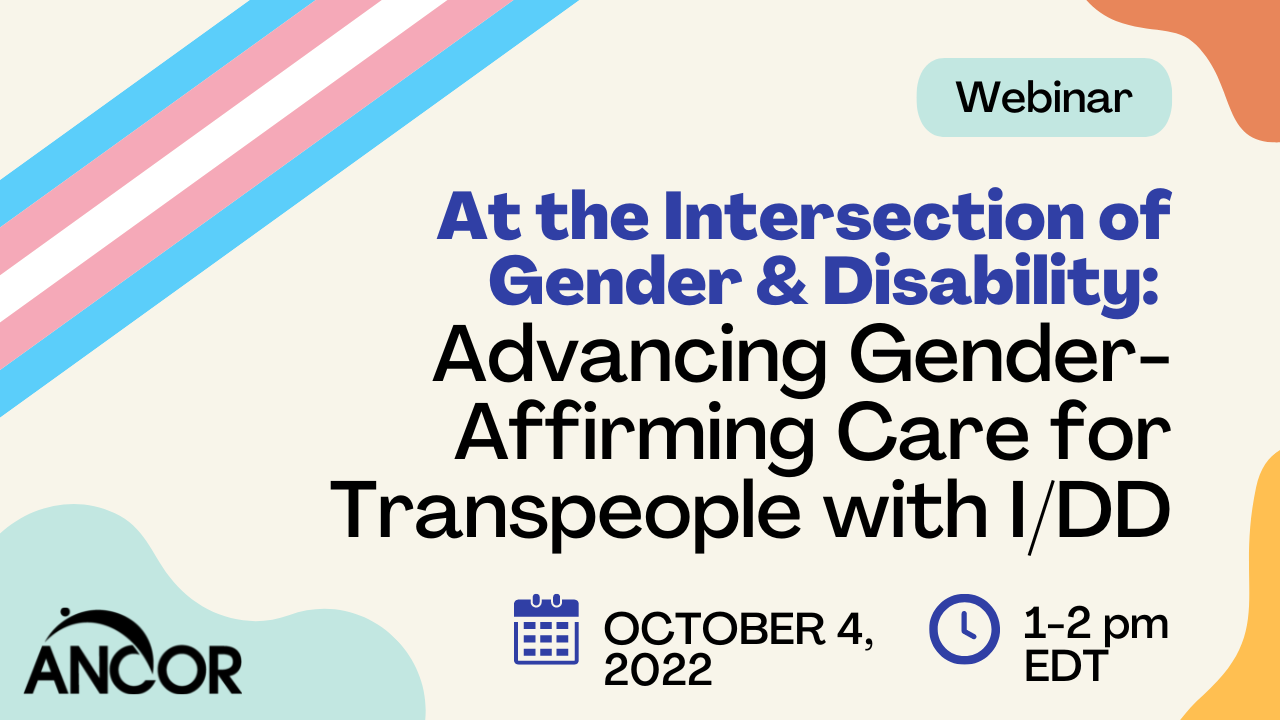 Graphic with text that reads: At the Intersection of Gender and Disability: Advancing Gender-Affirming Care for Transpeople with I/DD on October 4, 2022 1-2pm EDT.
