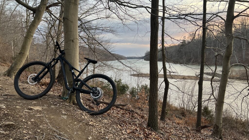 Photo of a bicycle against a tree by a lake