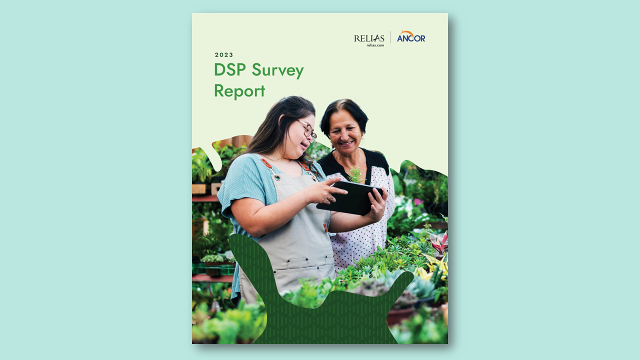 Thumbnail: 2023 DSP Survey Report cover