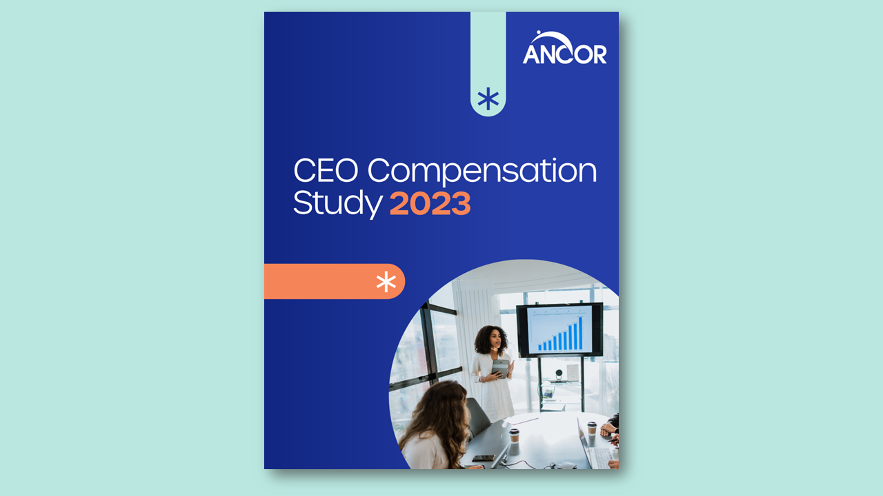 Thumbnail of the 2023 CEO Compensation Study report cover page