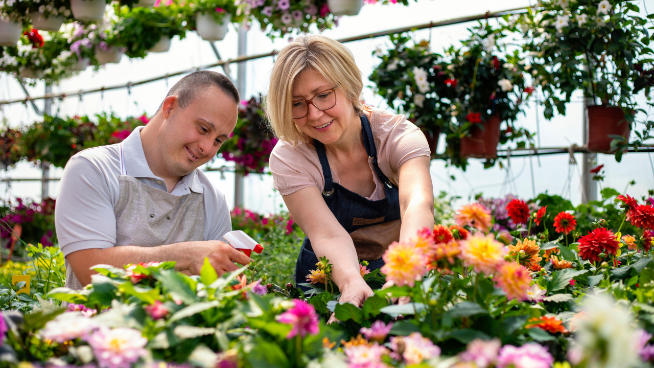 Two people in a garden greenhouse with aprons on watering a plant with a squirt gun